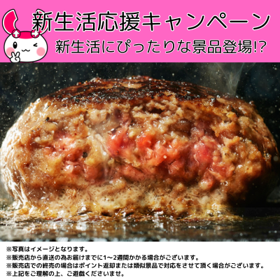 ★新生活応援キャンペーン★究極のひき肉で作る 牛100% ハンバーグ(200g×4)　※直送品